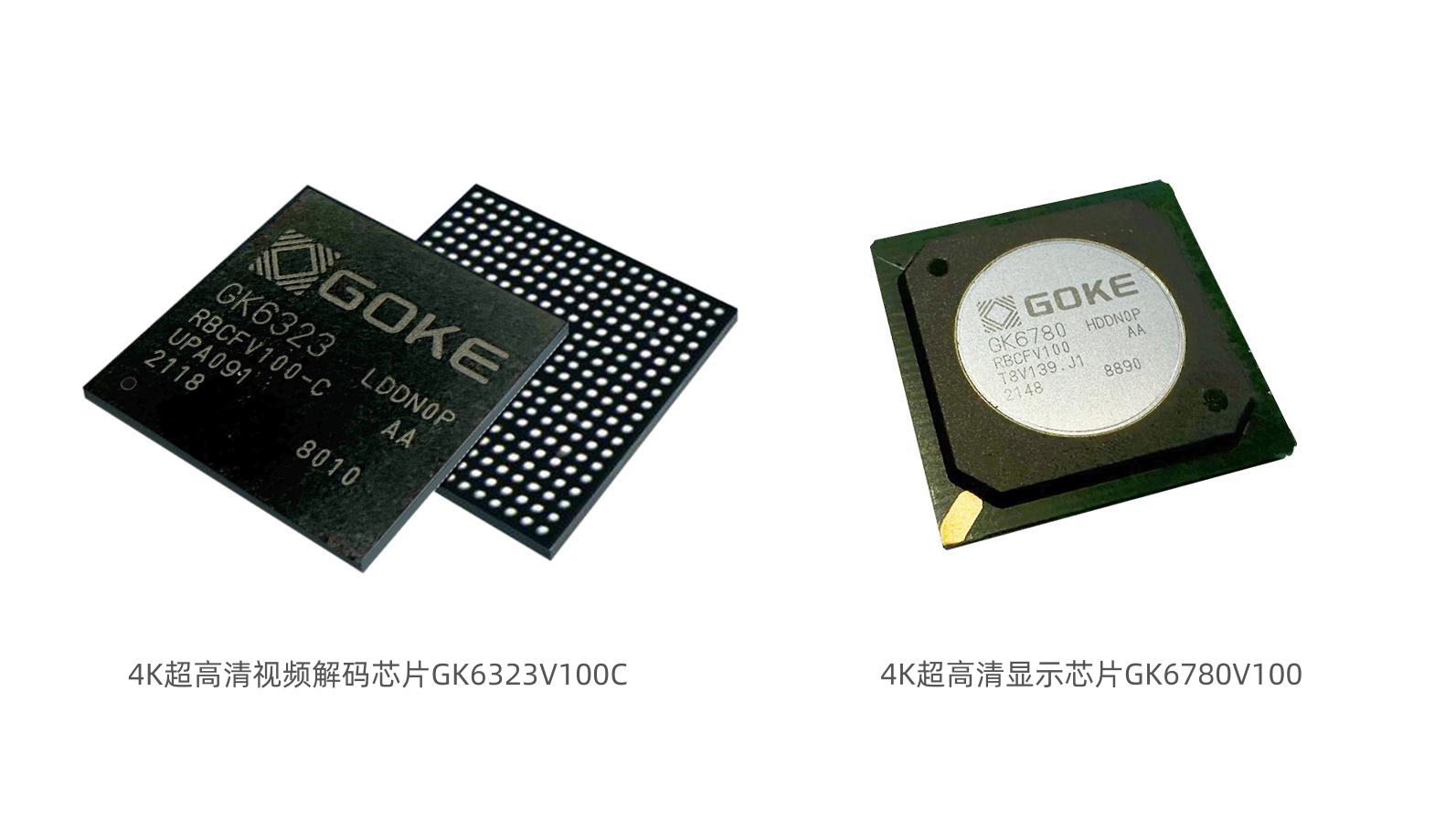 ×ðʱ¿Áú(ÖйúÇø)ÈËÉú¾ÍÊDz«